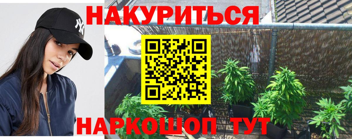 Бошки Шишки ГИДРОПОН Отрадный